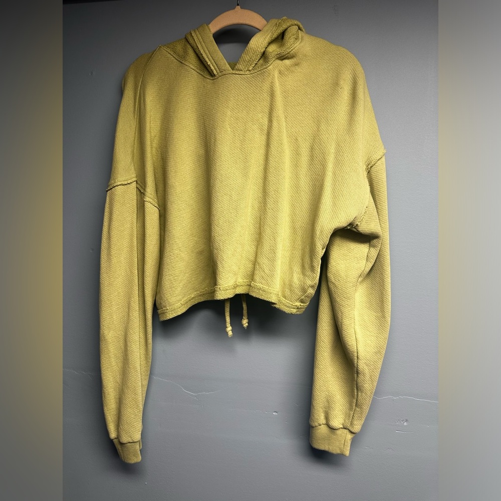 American eagle open back cropped hoodie